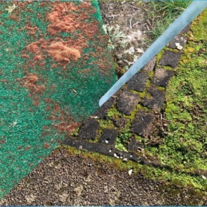 Hard or Artificial Surfaces