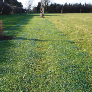 Grass Seed for Stabilisation